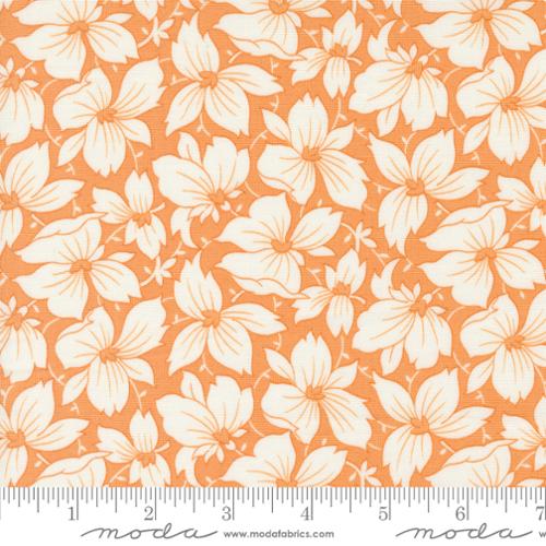 Denim & Daisies - Pointy Petal, Butterscotch - PER 1/4 YARD