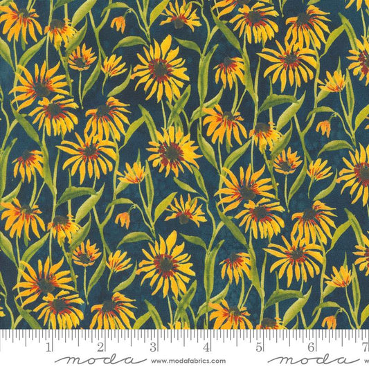 Floribunda - Blackeyed Suzie Q Florals Sunflowers, Midnight - PER 1/4 YARD