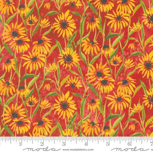 Floribunda - Blackeyed Suzie Q Florals Sunflowers, Spice - PER 1/4 YARD